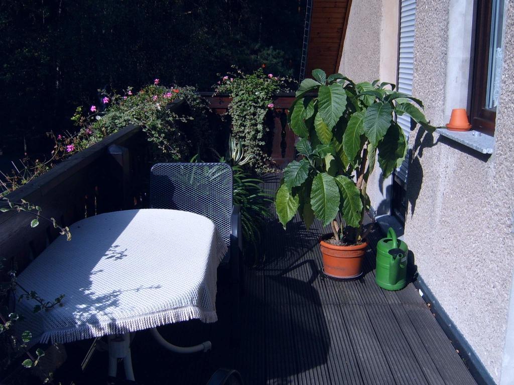 Ferienwohnung Guerth Kleinhennersdorf エクステリア 写真