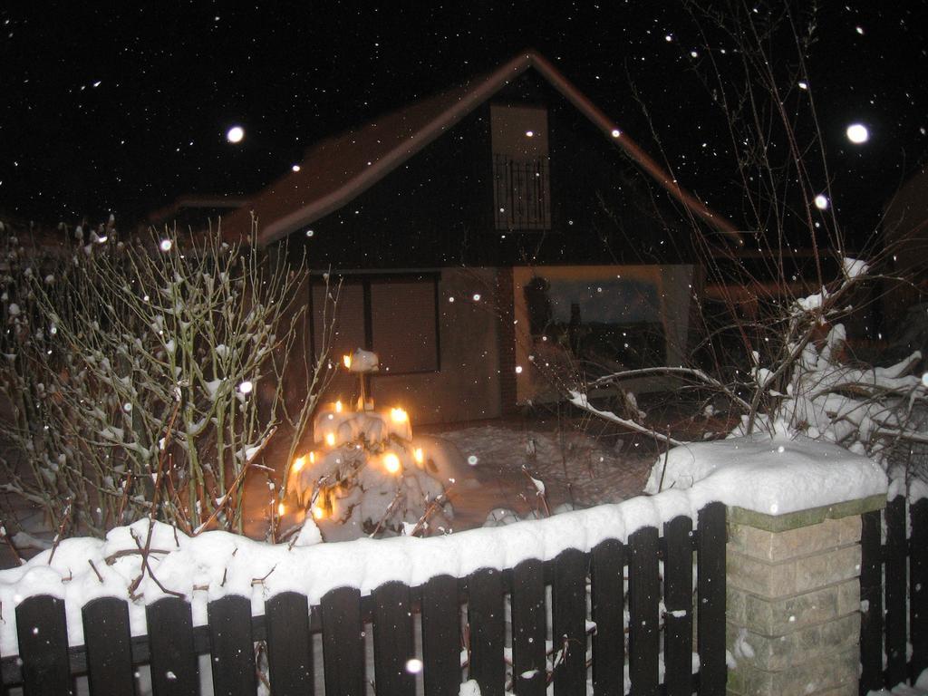 Ferienwohnung Guerth Kleinhennersdorf エクステリア 写真