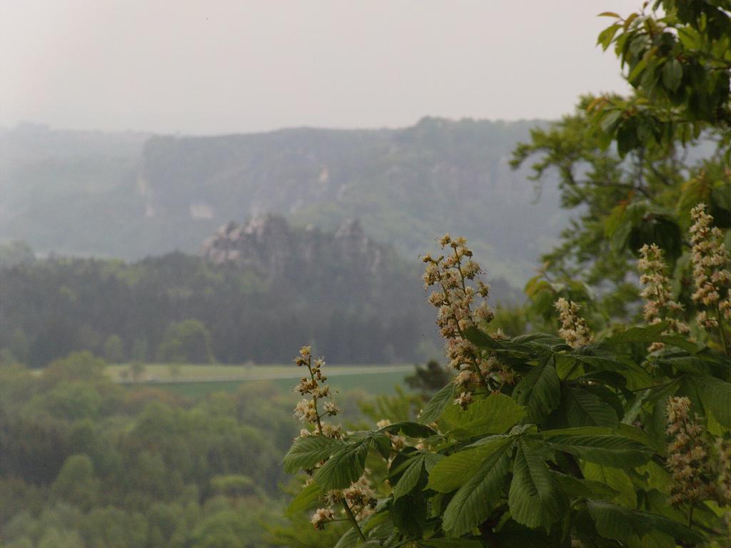 Ferienwohnung Guerth Kleinhennersdorf エクステリア 写真