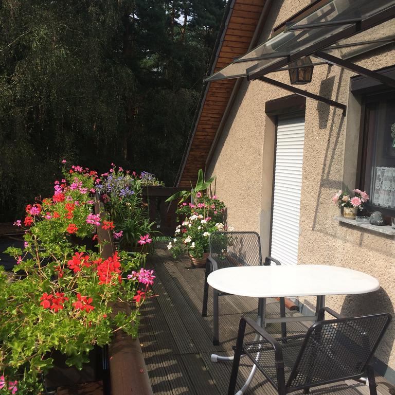 Ferienwohnung Guerth Kleinhennersdorf エクステリア 写真