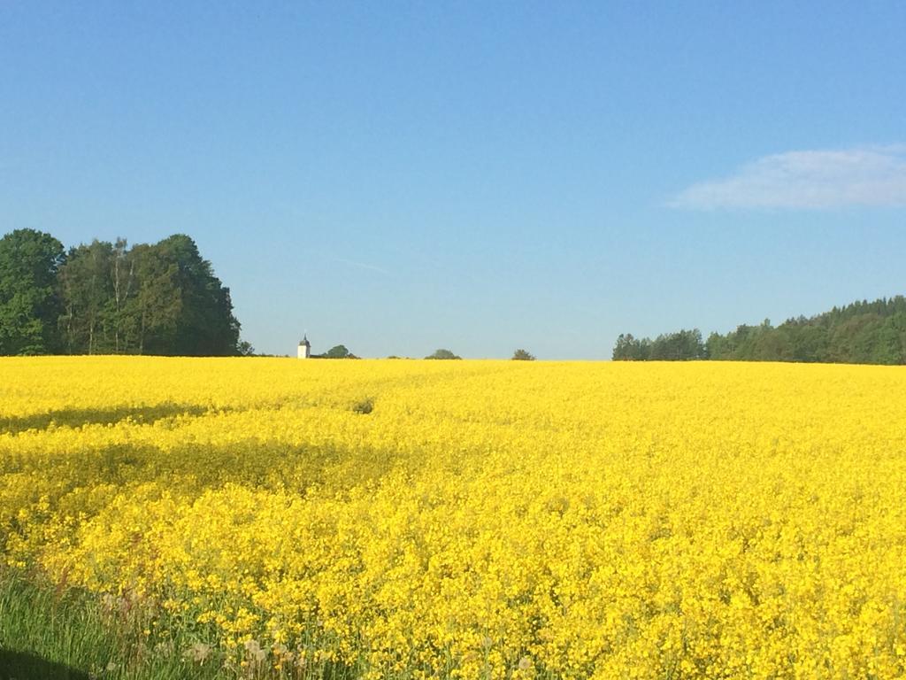 Ferienwohnung Guerth Kleinhennersdorf エクステリア 写真